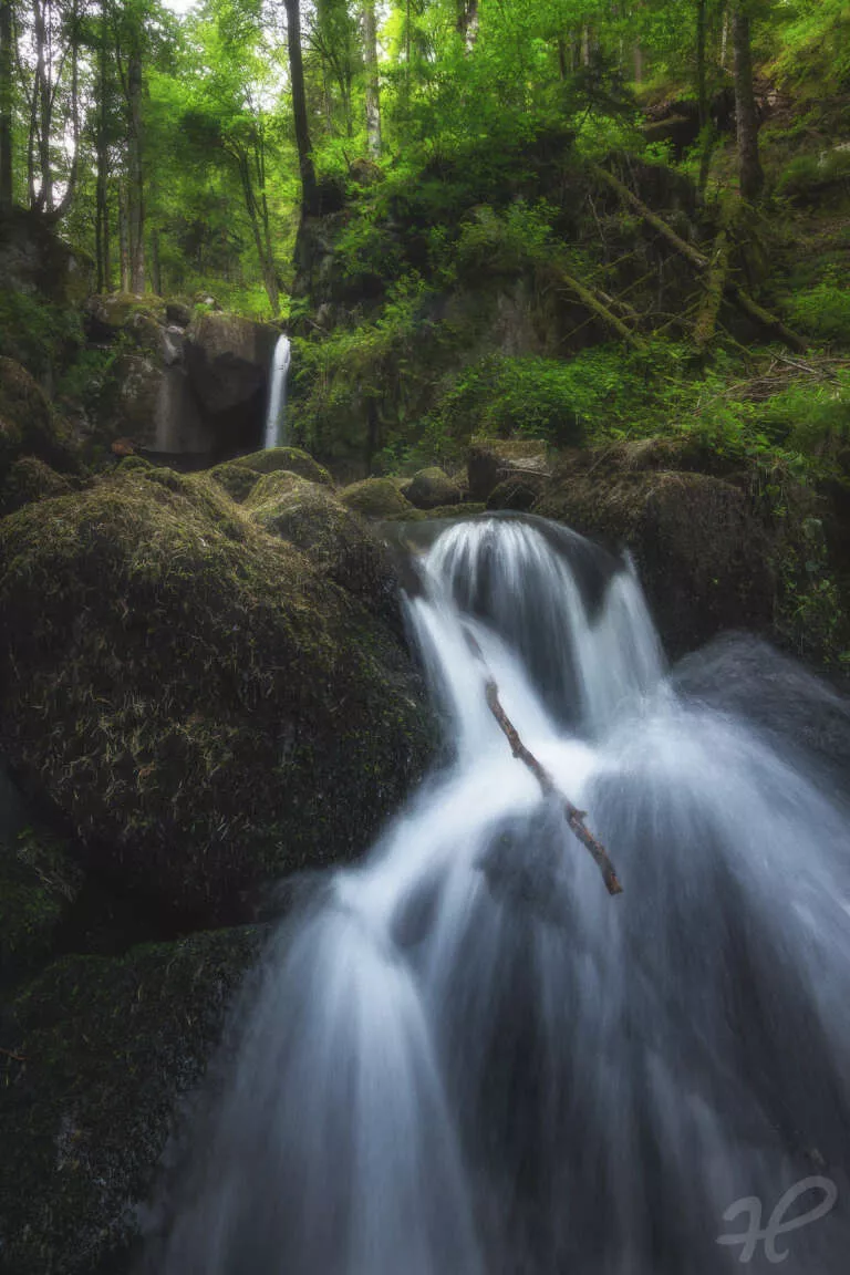 Stream of Life, Wasserfall im Hochschwarzwald