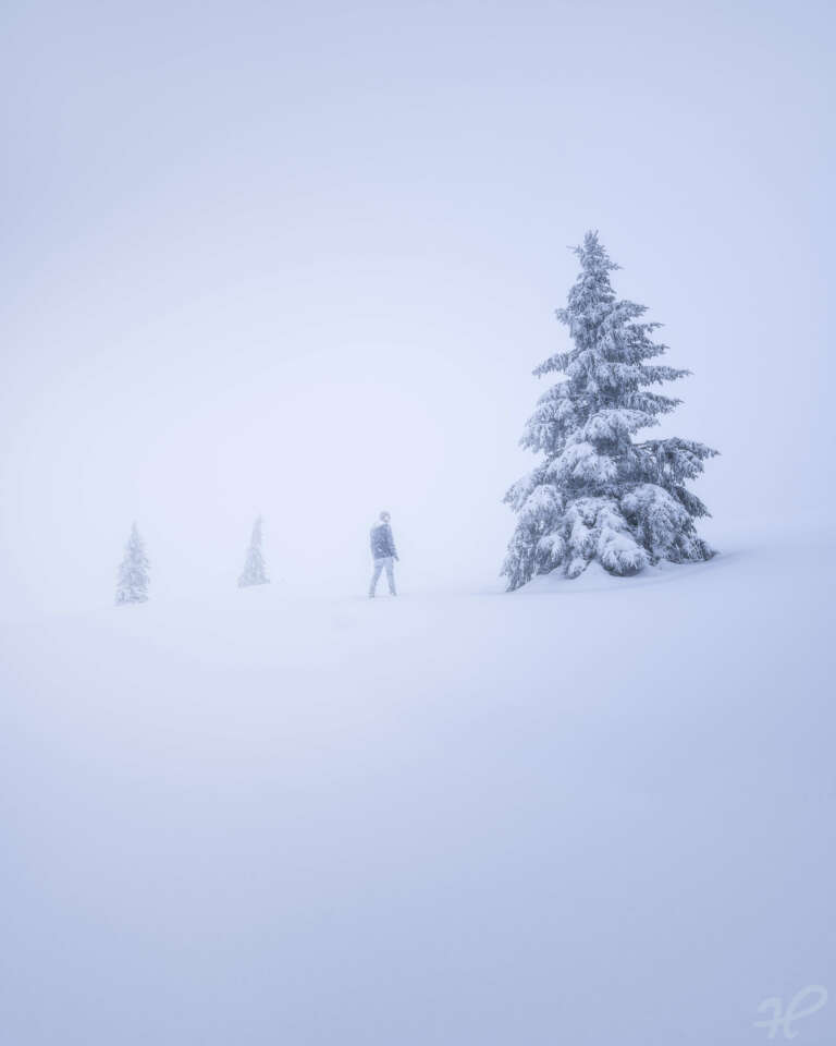 In Between 2019, Mann an einem schneebedecktem Baum