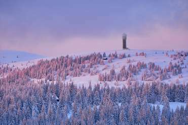 Seebuck mit Turm im Winter