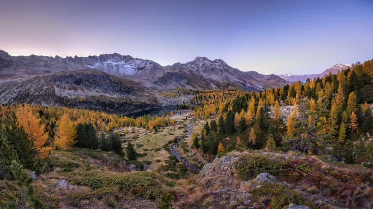 Herbstmorgen in den Bergen in Graubünden