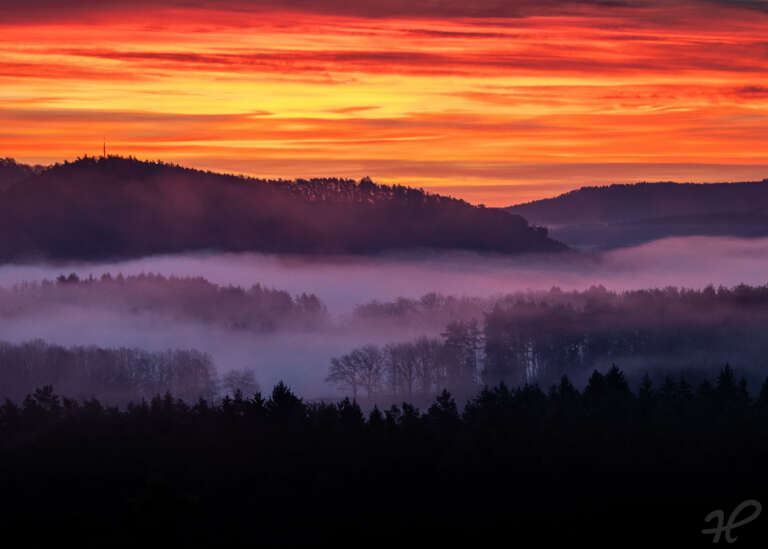 Morgenrot mit Nebel im Pfälzerwald