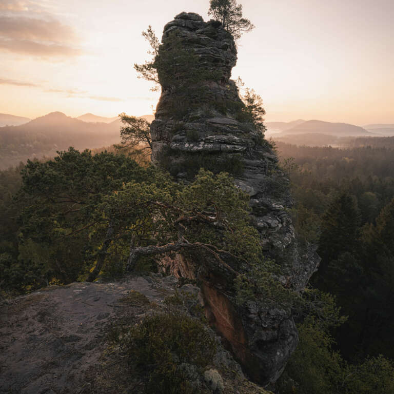 The rock