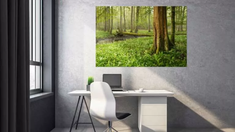 Wandbild von Heimatfotos aus der Pfalz in einem Büro oder Home Office - Pigmentdruck auf Leinwand in bester Bildqualität - Ein Foto von Fotograf und Heimatlicht Guido Sinram aus Neustadt an der Weinstraße - Das Foto zeigt einen wunderschönen grünen Wald in dem der Waldboden bedeckt ist mit Bärlauch