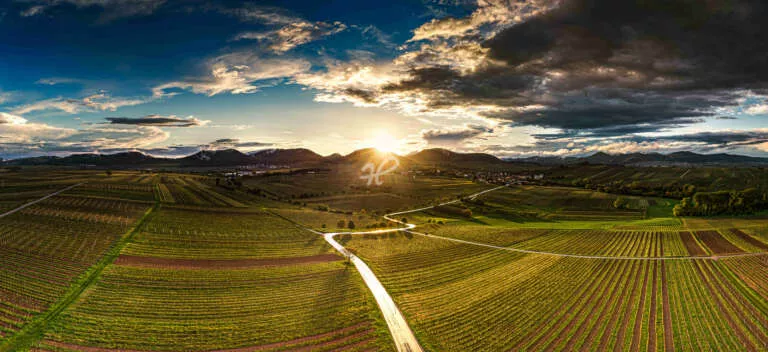Die Pfalz von oben „Südliche Weinstrasse“, Panorama Luftaufnahme der kleinen Kalmit mit einer Straße inmitten von Weinreben bei Sonnenuntergang