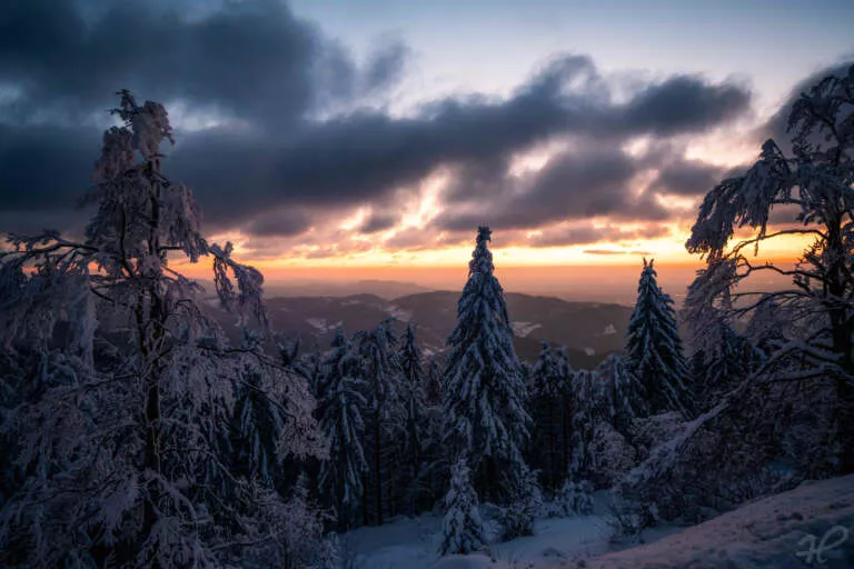 Winterlicher Schwarzwald bei Dämmerung