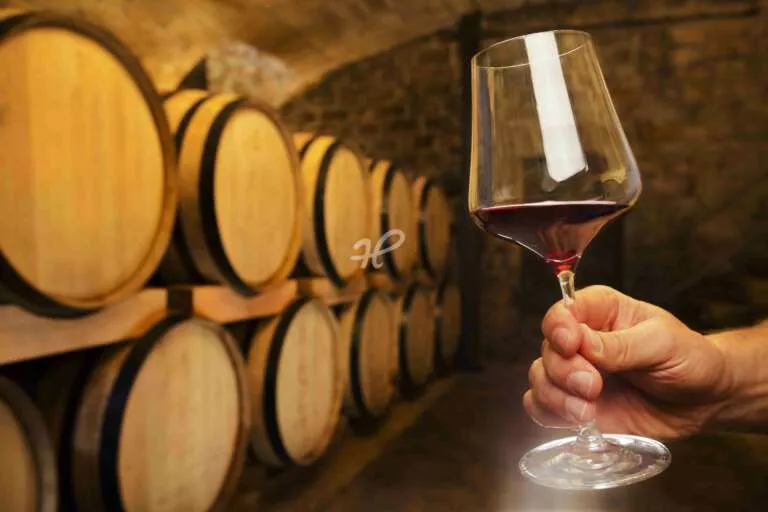 Hand mit Rotweinglas vor Weinfässern im Weinkeller
