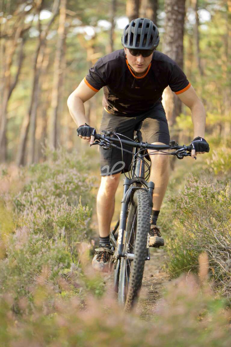 Mountainbiker im Pfälzerwald – selektiver Fokus mit offener Blende
