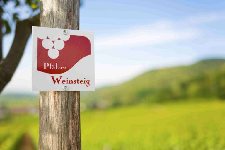Wegweiser Pfälzer Weinsteig vor unscharfem Hintergrund mit Weinbergen und Wald