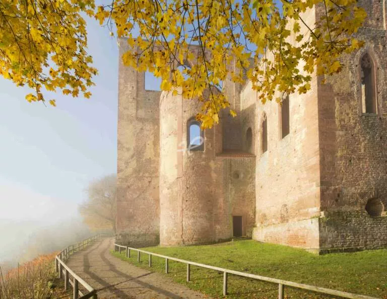 Äste eines Ahorn mit Herbstlaub vor Klosterruine Limburg im Nebel