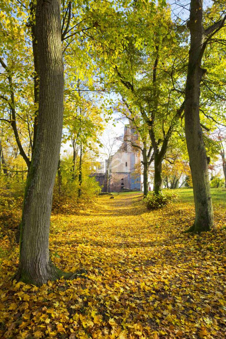 Weg zur Klosterruine Limburg im Herbst