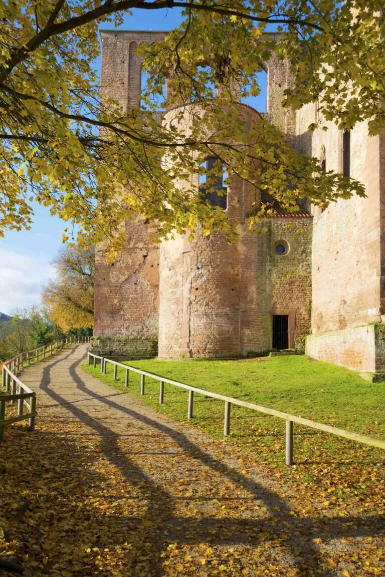 Weg zur Klosteruine Limburg im Herbst