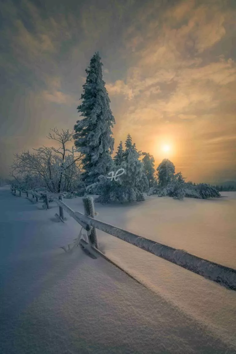 Frühwinter, Sonnenuntergang am Schliffkopf im Schwarzwald im Winter mit reichlich Schnee