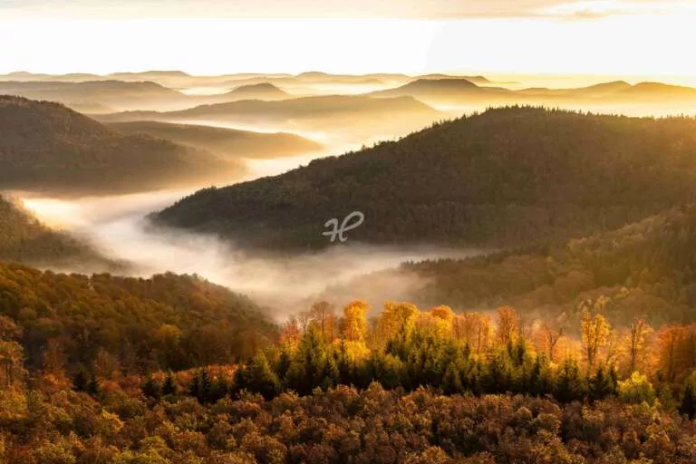 Herbstlich, Überblick über den Pfälzer Wald in der Südwestpfalz