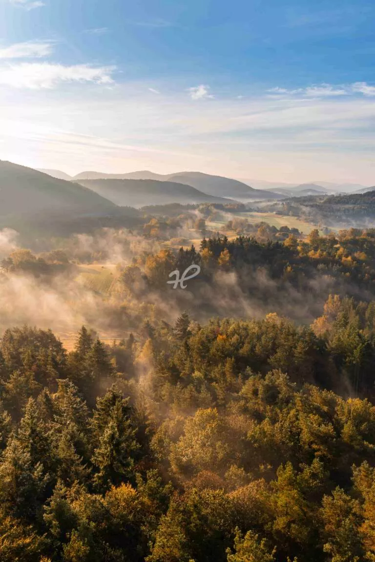 Morgennebel, Hochformatiges Foto des Pfälzer Walds an einem Morgen im Herbstbei Spirkelbach in der Südwestpfalz