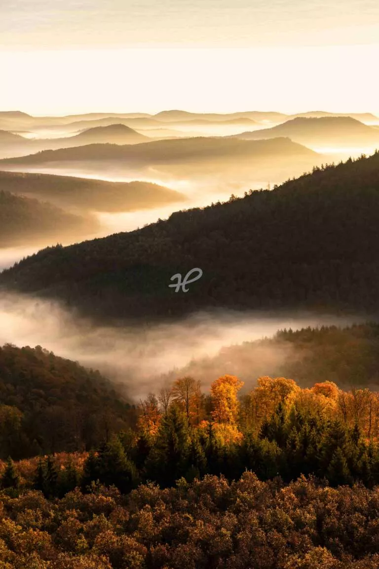 Pfälzerwald-Herbstlich II, Hochformatiger Überblick über den herbstlichen Pfälzer Wald in der Südwestpfalz