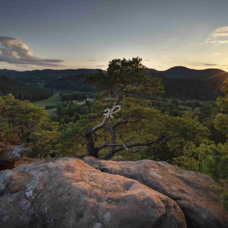 Sprinzelfelsenzum Sonnenuntergang in der Pfalz