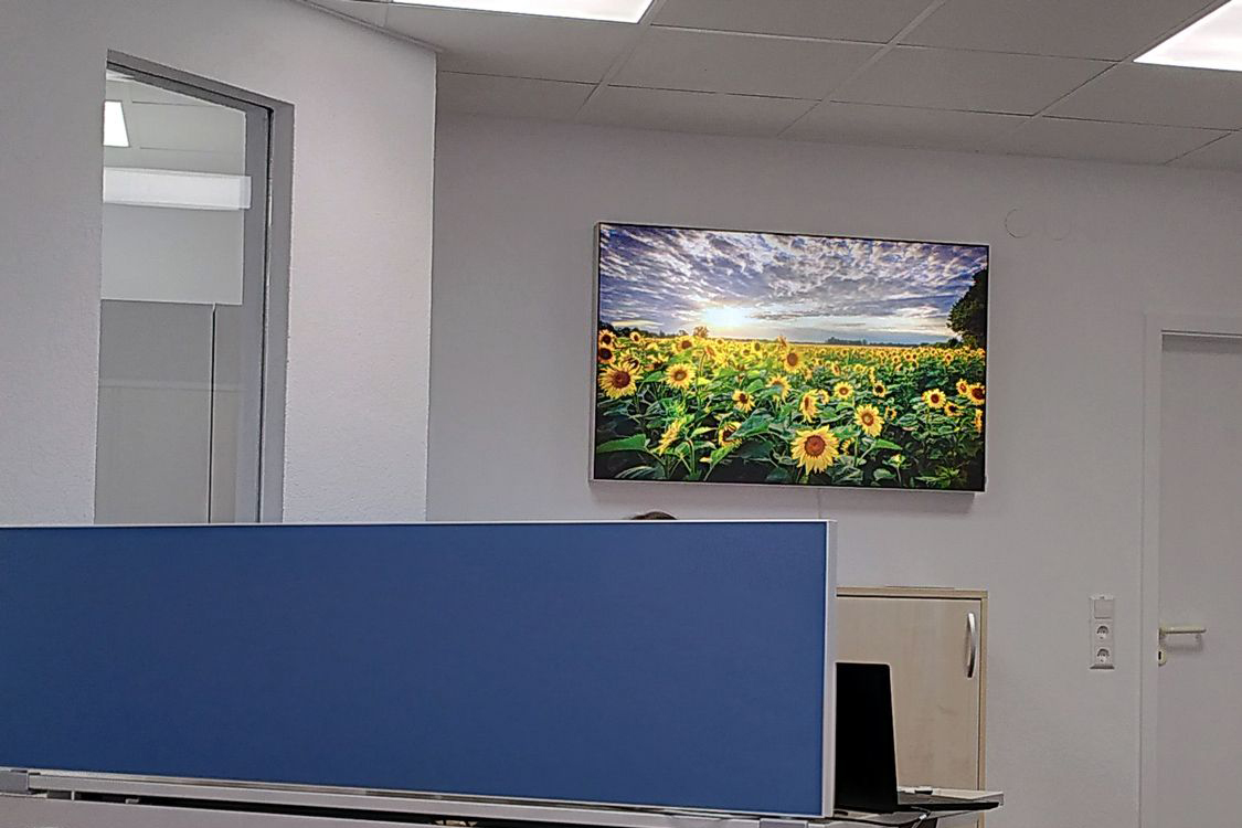 Leuchtkasten Sonnenblumenfeld bei Stadt Offenburg Abteilung Digitalisierung, ein Motiv aus der Ortenau von Fotografin und Heimatlicht Andrea Wengel, Keder Leuchtkasten im Eingangsbereich, Planung + Realisiation und Montage durch Heimatlichter