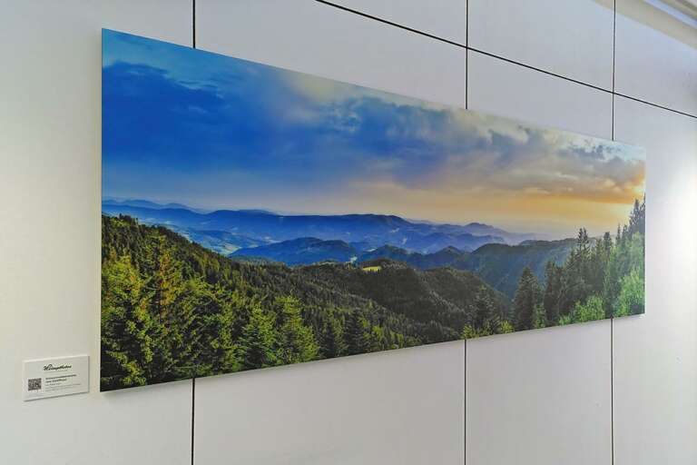 Wandbilder für den Technologiepark Offenburg Abt. startUp.connect, großes Fine Art Panorama hinter mattem Acrylglas, Motiv Ausblick vom Schliffkopf über die Ortenau von Fotograf und Heimatlicht Robert Laun, Konzept + Umsetzung + Beratung durch die Heimatlichter GmbH, Herstellung durch ft Fotofachlabor Freiburg