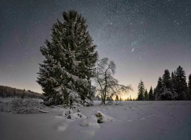 Winternacht mit Sternenhimmel im Schwarzwald