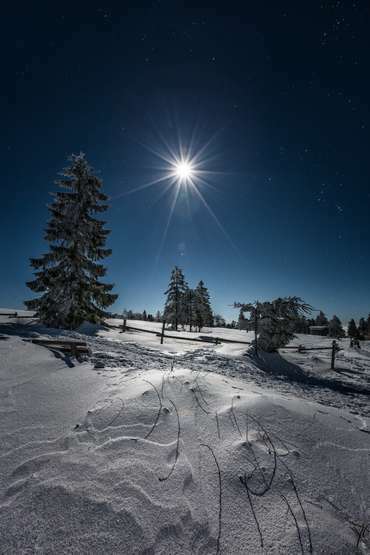 Winterlicher Vollmond im Schwarzwald