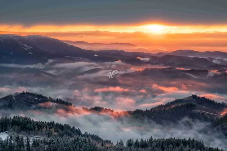 Abendsonne im Schwarzwald mit Nebel