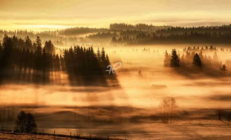 Abstrakte Aufnahme vom goldenem Nebel mit Licht- und Schatten-Spiel