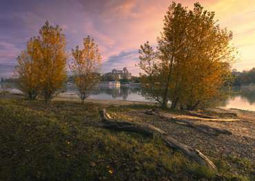 Goldener Herbst am Rhein bei Breisach