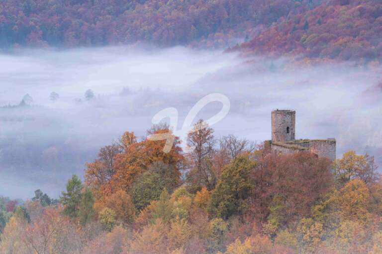 Burg Gräfenstein im Nebel