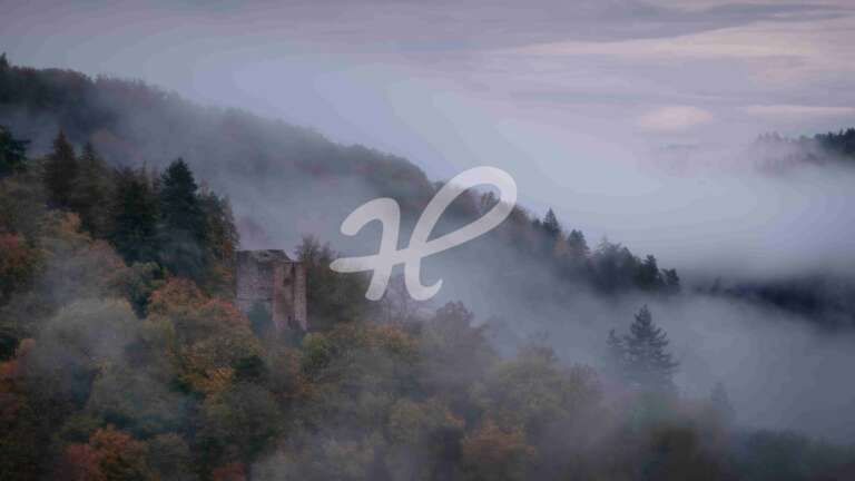 Graue Stimmung an der Burgruine Liebeneck im Würmtal im Herbstnebel