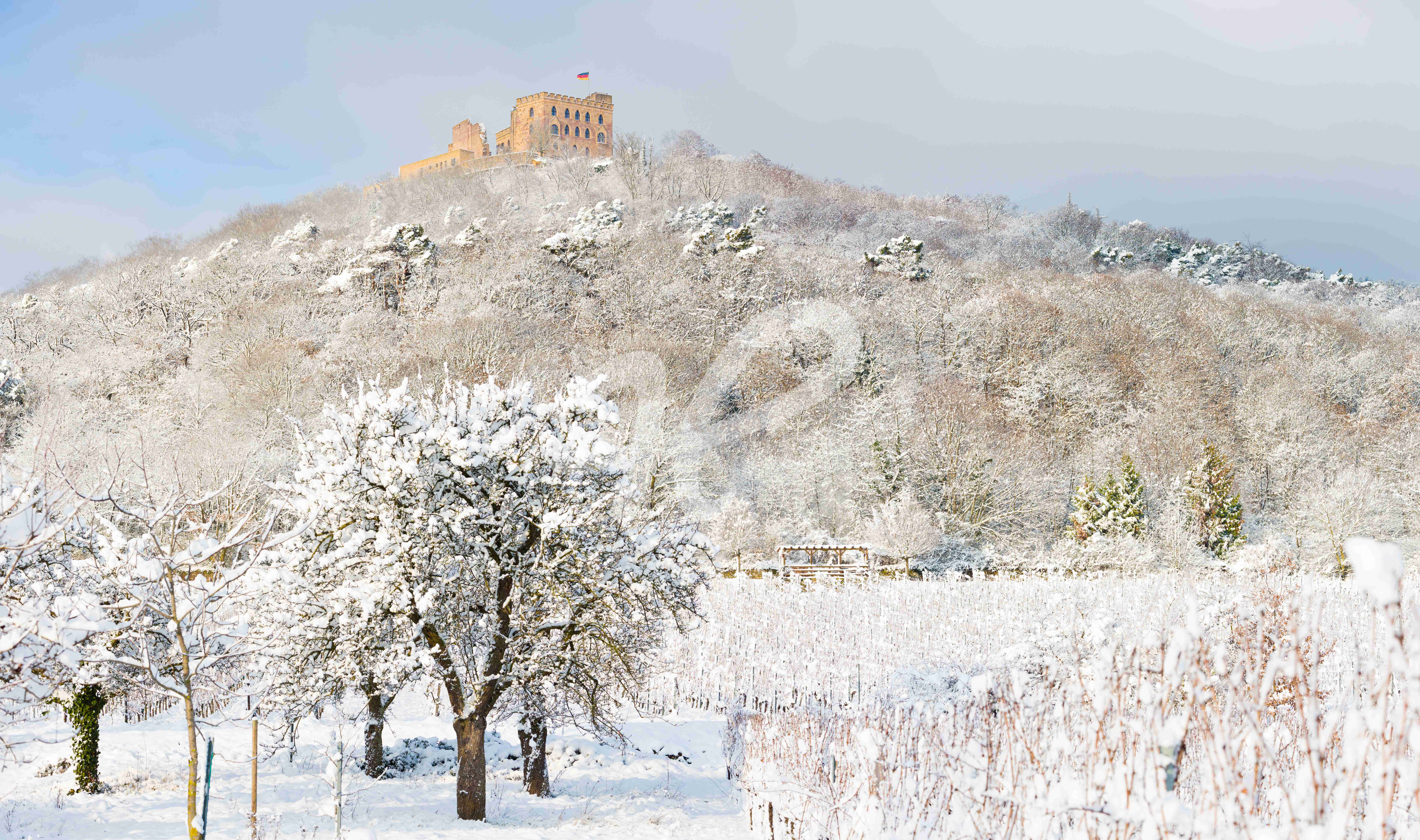 Panorama des Hambacher Schlosses im Schnee