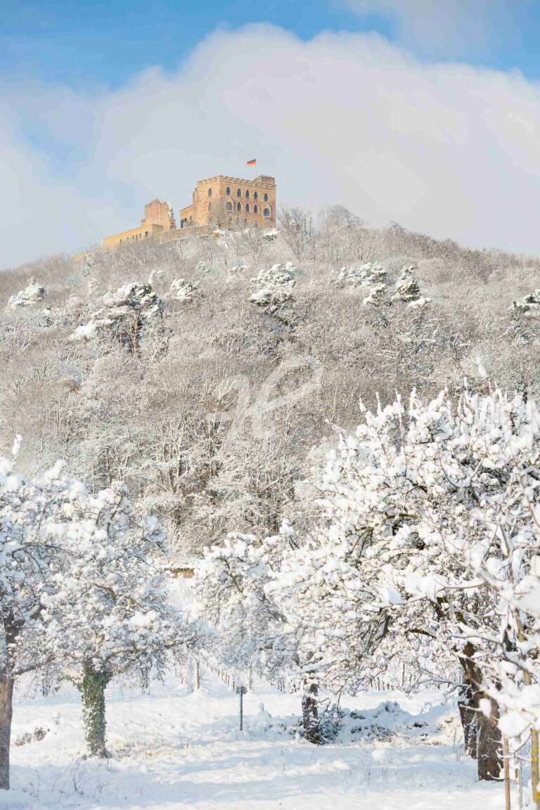Hambacher Schloss im Schnee