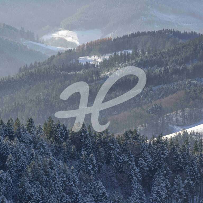 Schneebedeckte Täler und Berge bei Oppenau im Schwarzwald