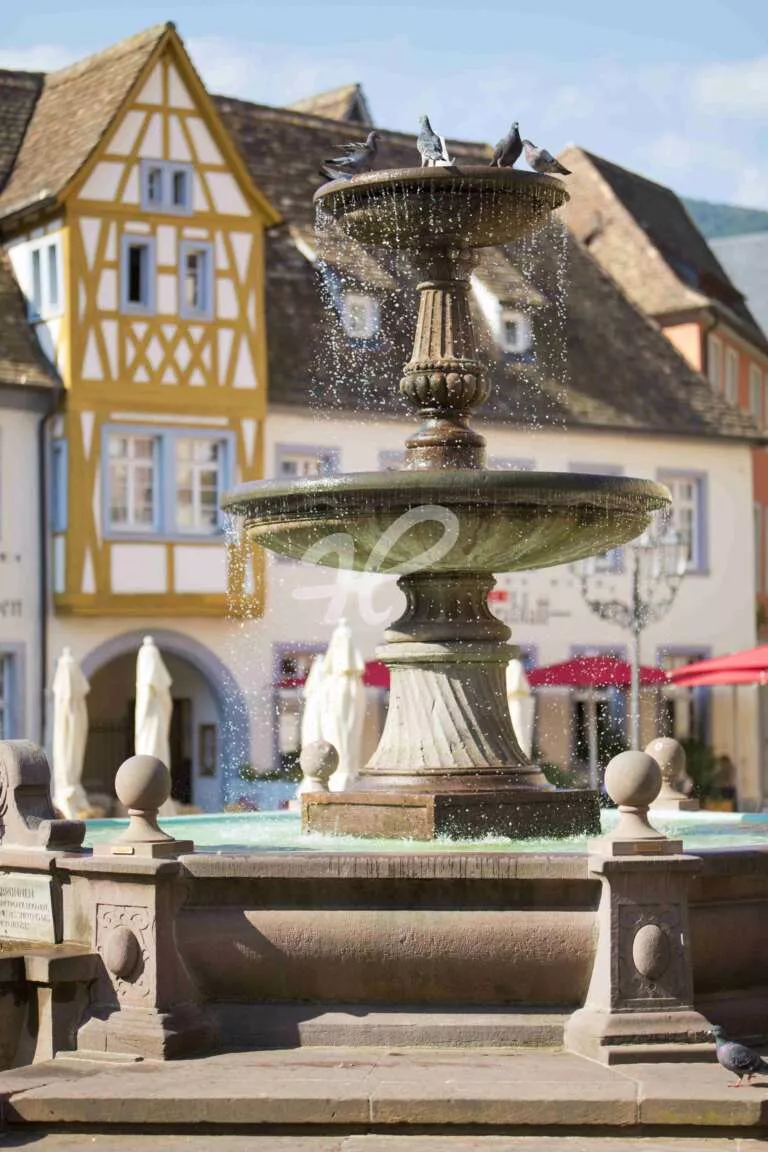 Der Königsbrunnen auf dem Marktplatz von Neustadt an der Weinstraße