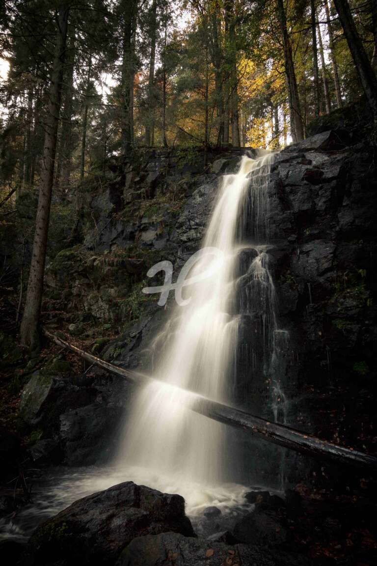Stufen im Wald – Zweribach Wasserfälle