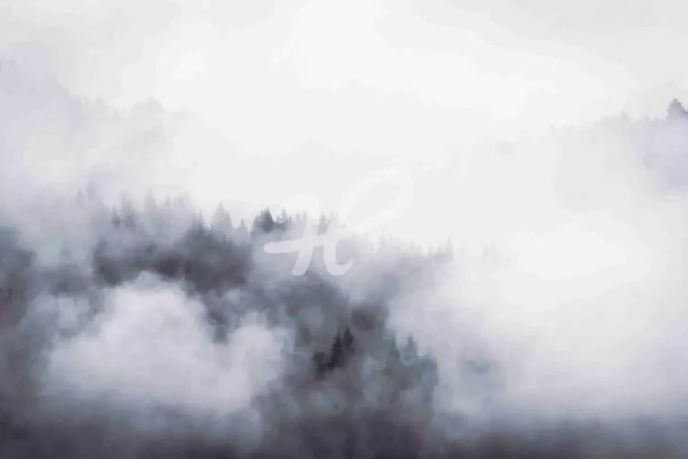Schichten des Waldes - Abstrakte Aufnahme eines Fichtenwaldes im Nebel am Weissensee