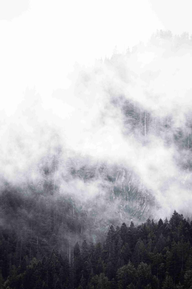 Berg im Nebel - Abstrakte Schwarz-Weiß-Aufnahme eines Waldes im Nebel am Weissensee