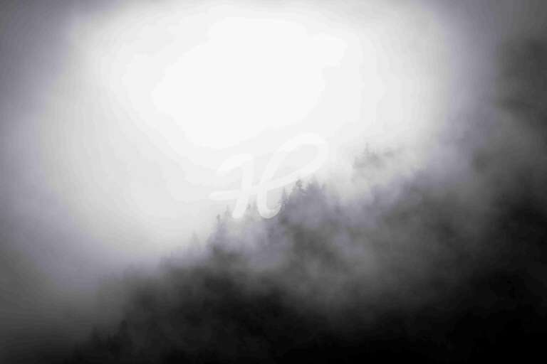Diagonal - Abstrakte Aufnahme eines Nadelwaldes im Nebel und Gegenlicht am Weissensee