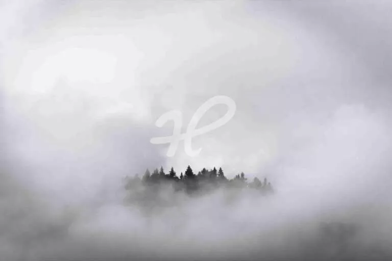 Wald im Nebel - Abstrakte Aufnahme einer Waldinsel im Nebel am Weissensee