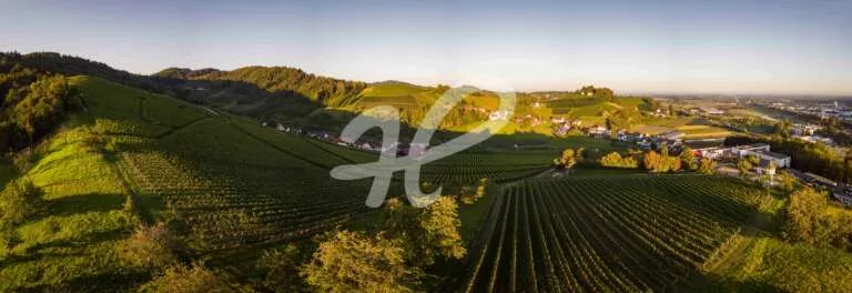 Luftpanorama mit Blick auf die Weinberge