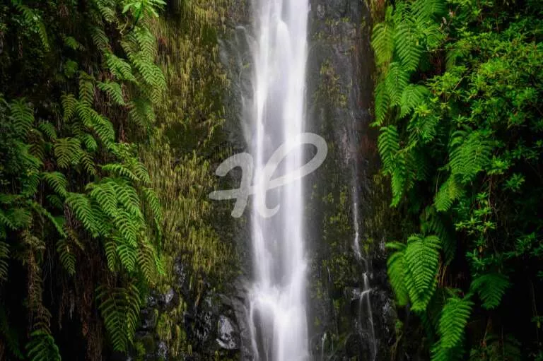 25 Fontes Wasserfall Madeira