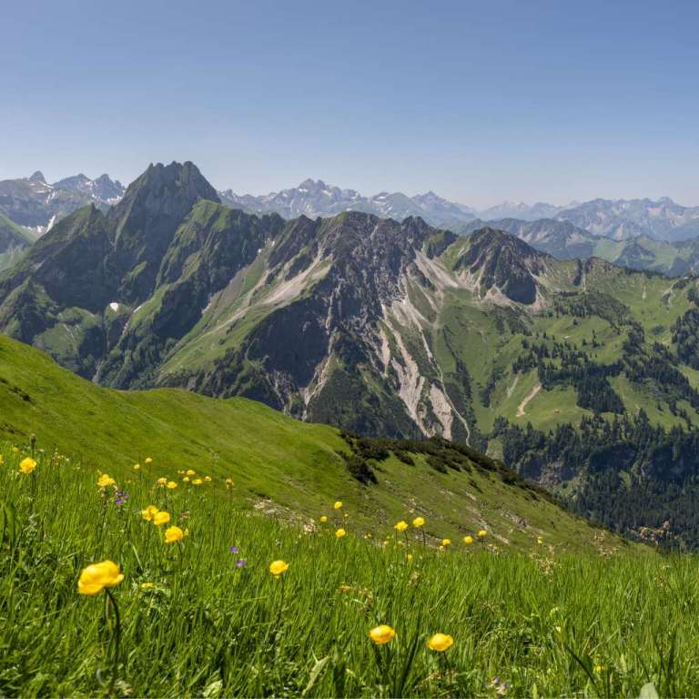 Sommerseele im Allgäu