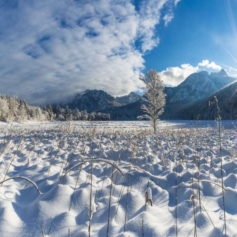 Winterträume am Schwansee