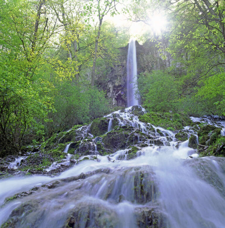 Uracher Wasserfall im Frühling