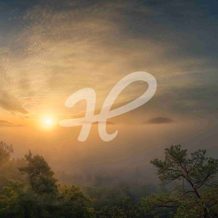 Nebliger Morgen am Sprinzelfelsen