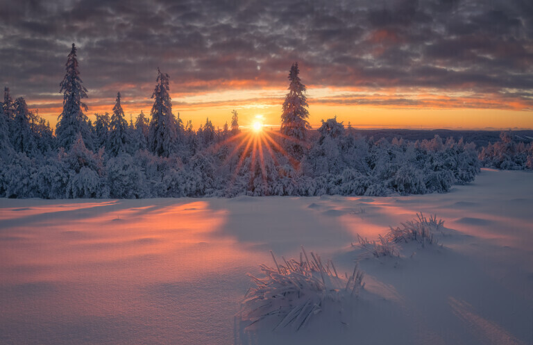 Sonnenaufgang im Nationalpark