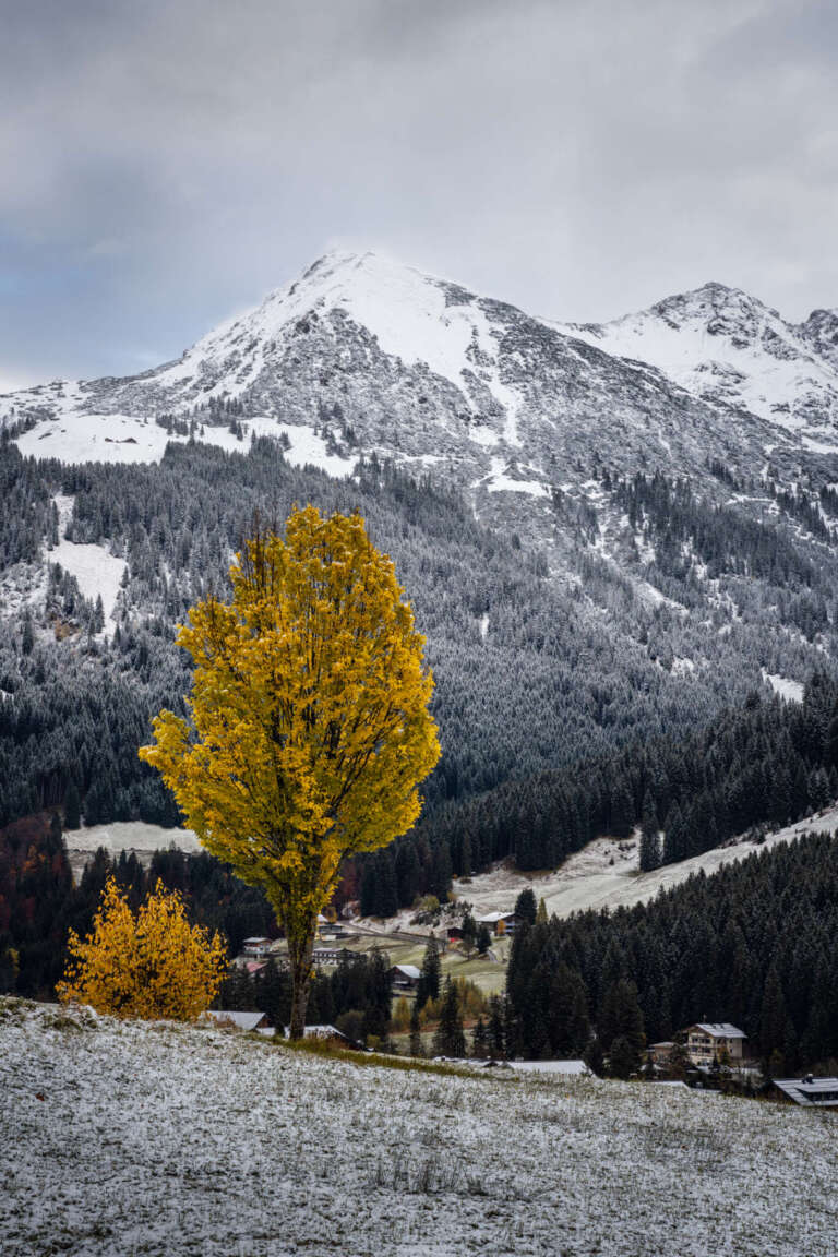 Dab Of Colour – ein Klecks Farbe