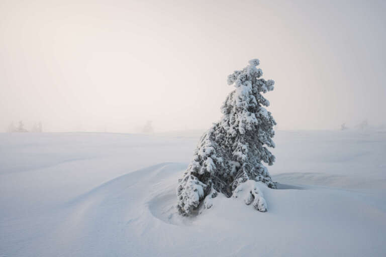 Silent Guardian – Der stille Wächter