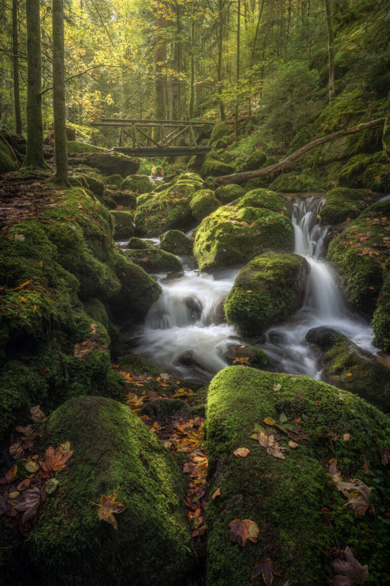 Lush Gorge – die üppige Schlucht