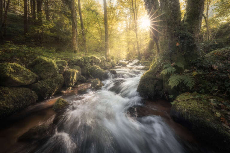 Enchanting Stream - Gertelbach