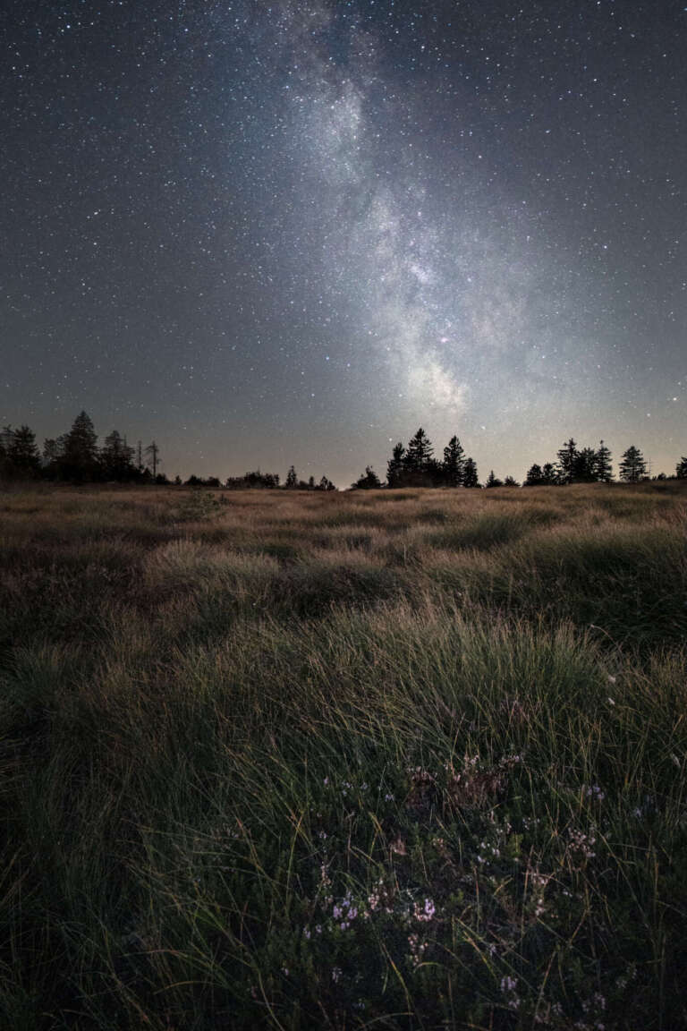 Hornis Milk - Hornisgrinde